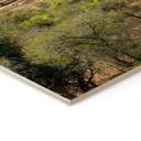 Cuadro de madera paisaje de sabana en Africa - Hugonnard