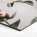 Hexagone - alu-Dibond 1X Studio - Trois pivoines en fleurs