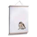 Poster Little Bird