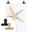 Plakat - Hugonnard - White Starfish