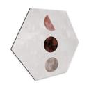 Hexagone - Alu-Dibond 1X Studio - Geo Amigos