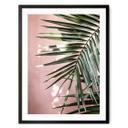 Póster hoja de palmera delante de pared rosa - Böhmer