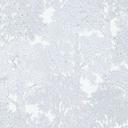 Architects Paper Floral Impression - Papier peint intissé de forêt, gris