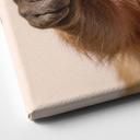 Tableau sur toile Happy Capybara avec pouce en l'air