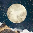 Fototapet Stjernehimmel om vinteren - SpaceFrog Designs