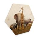 Hexagone - Bois Animaux africains