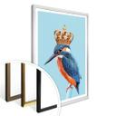 Póster Suelto - Kingfisher
