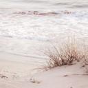 Fotomural de dunas de playa - 1X Studio