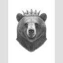 Fotomural Korenkova - Rey Oso