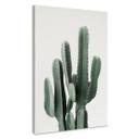 Lienzo planta de cactus - Sisi & Seb