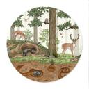 Póster objeto oculto animales del bosque - Kikki Belle - Redondo