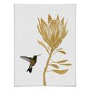 Plakat - Orara Studio - Hummingbird and Flower - golden flower