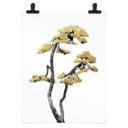 Plakat Amini - Bonsai