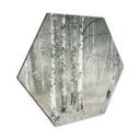Hexagone - Tableau sur alu-Dibond Talen - Repos matinal