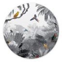 Tableau sur alu-Dibond rond Kikki Belle - Tropical Birds