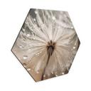Hexagon Dibond Paardenbloem in ochtenddauw - Treechild