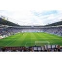 Fototapet FC Magdeburg Fans