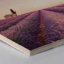 Hexagon - Birketræ - Lavendel
