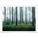 Póster Lindsten - En el bosque
