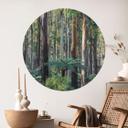 Vinilo decorativo Bosque de eucaliptos en Yarra Ranges - Colombo - Redondo