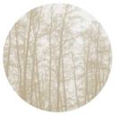 Vinilo decorativo bosque invernal silencioso - Böhmer - Redondo