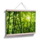 Poster - Rayon de soleil dans la forêt de bambous
