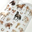 Wallsticker Klistermærke med ædle heste
