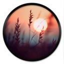 Póster Hierbas a la luz del sol resplandeciente - Treechild - Redondo