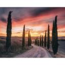 Fotomural - Anton Toscana - Puesta de sol