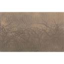Architects Paper Papier peint photo Atelier 47 Thorn hedge