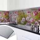 Revêtement pour cuisine - Alu-Dibond - Fleurs de cerisier - Argenté