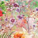 Fototapet - Wild Flowers