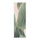 Póster de tela Calathea - Sisi & Seb - Panorama