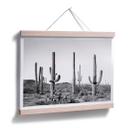 Póster Sisi & Seb - Cactus en el desierto