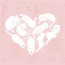 Fototapet Loske - Cat Heart