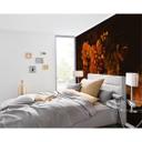 non-woven tapet BlossomVariety lilje fototapet Designwalls i orange og sort 