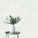 Papel pintado no tejido con aspecto de hormigón blanco utilizado aspecto liso 