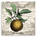 Canvasbillede, vintage orange