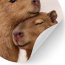 Nuttet capybara-par Wallsticker - Rund