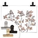 Plakat - Disher - Tørrede blomster
