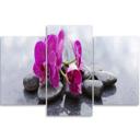 3 stykke lærred print, orkidé blomster sten lilla