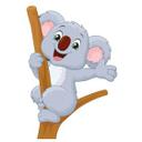 Wallsticker - Cute Koala