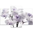 3 stykke lærredsprint, Orchid Blossom Purple