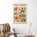 Cuadro de madera Naranjo Boho - Citrus Sinensis - Tunaboylu