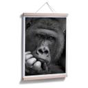 Plakat - Wenner - Gorillaen