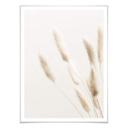 Plakat - 1X Studio - Grass