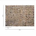 Murstenstapet NaturalStone i brun creme - non-woven tapet Designwalls 2 - 2,55 x 3,5 m