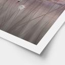 Poster lotusbloemen met zwaan in water in donkerroze - Ms Tiff