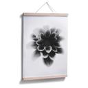 Plakat - Grønkjær - Dahlia