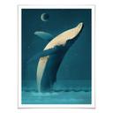 Plakat - Braun - Humpback Whale
